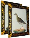 A Pair of 19th Century Levantine Watercolors of Birds in Lacquer Frames