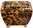 An Unusually Shaped 1820 English Tortoiseshell Tea Caddy