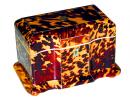 A 19th Century English Regency Tortoiseshell Tea Caddy