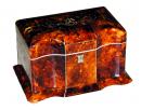 A 19th Century English Regency Tortoiseshell Tea Caddy