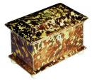 A 19th Century English Regency Tortoiseshell Tea Caddy