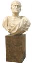 An 18th Century Sculpture Bust of a Roman Senator