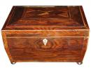 A Striking 19th Century Rosewood Valuables Box 