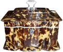 An English Regency 19th Century Tortoiseshell Tea Caddy