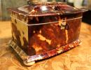 A 19th Century Tortoiseshell Tea Caddy