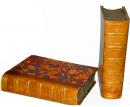 Ten 19h Century Volumes of The English Cyclopedia (London)