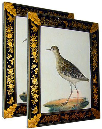 A Pair of 19th Century Levantine Watercolors of Birds in Lacquer Frames No. 376